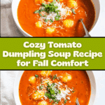 Tomato Dumpling Soup Recipe