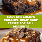 Chocolate Caramel Dump Cake Recipe