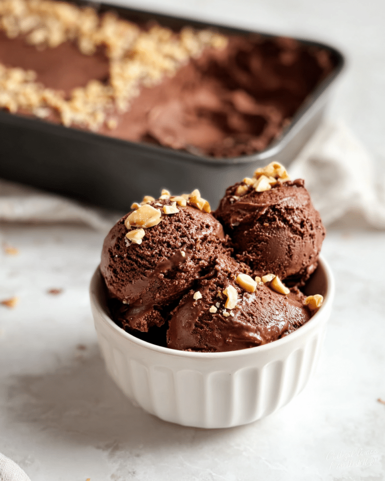 Chocolate Coconut Milk Ice Cream Recipe