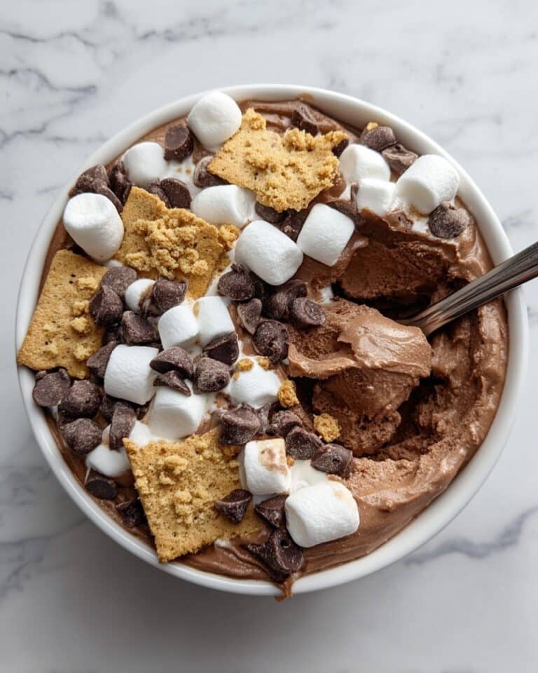 Double Chocolate Protein S’mores Bowl Recipe